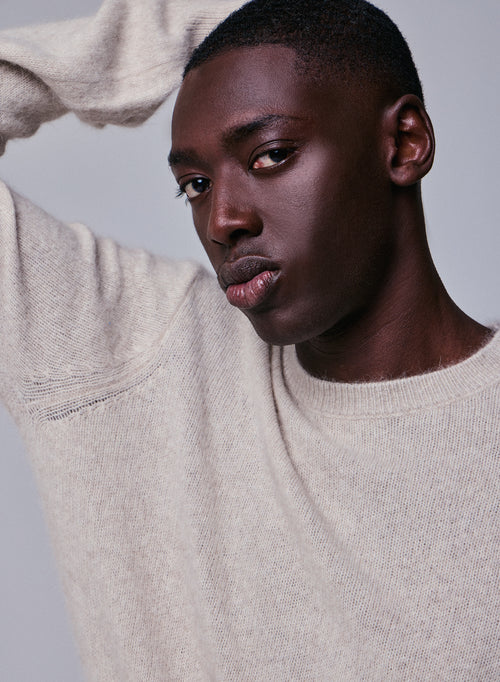 Pull Beige Col Rond Manches Longues en Laine / Fox / Polyamide - MAJESTIC FILATURES